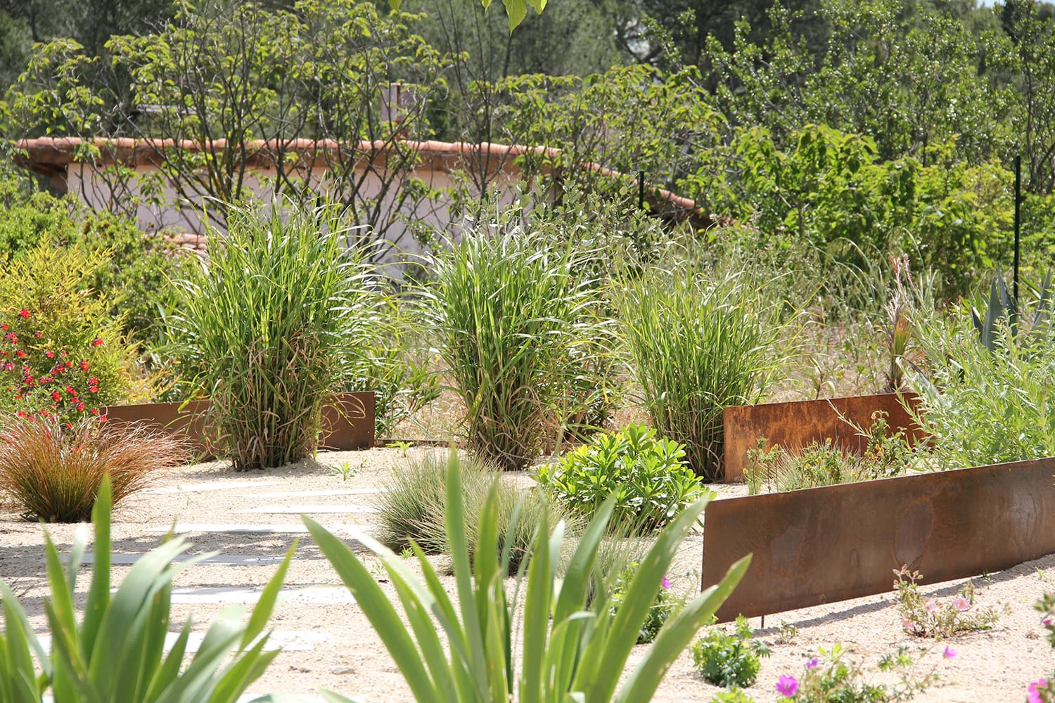 jardin sec méditerrannéen avec peu de plantes pour préserver la vue sur St Gely du Fesc