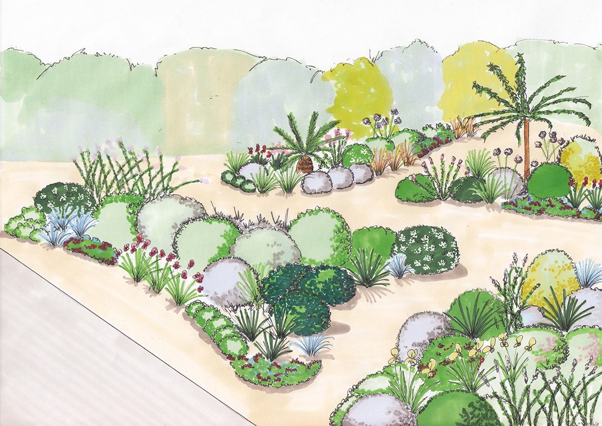 croquis jardin sec mediterraneen